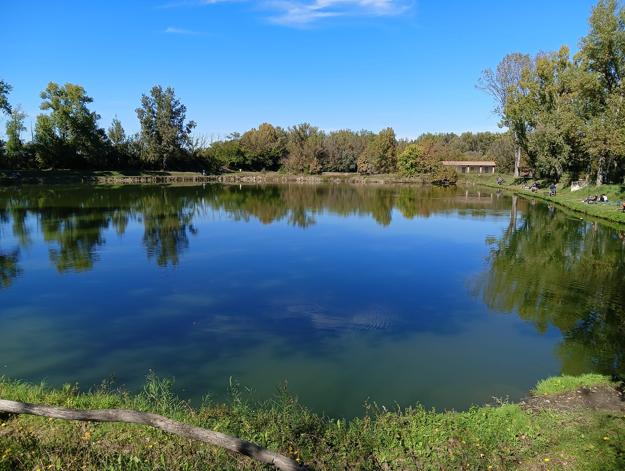 1° Contest Drone Shot